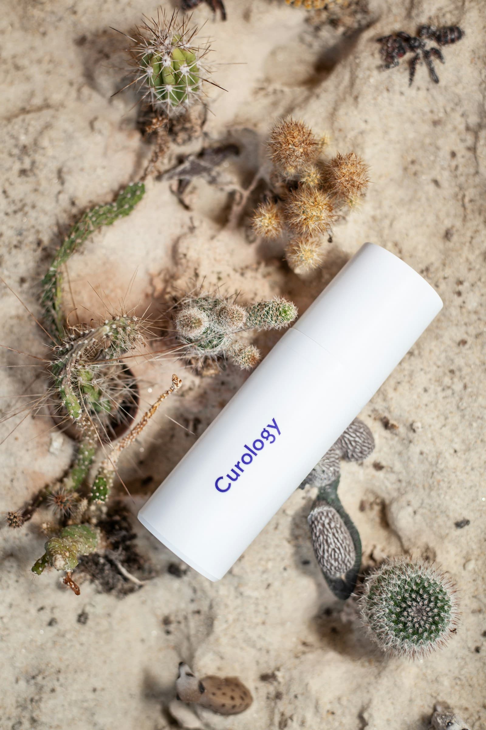 Raw mobile product photo — cactus and skincare tube on a plain background